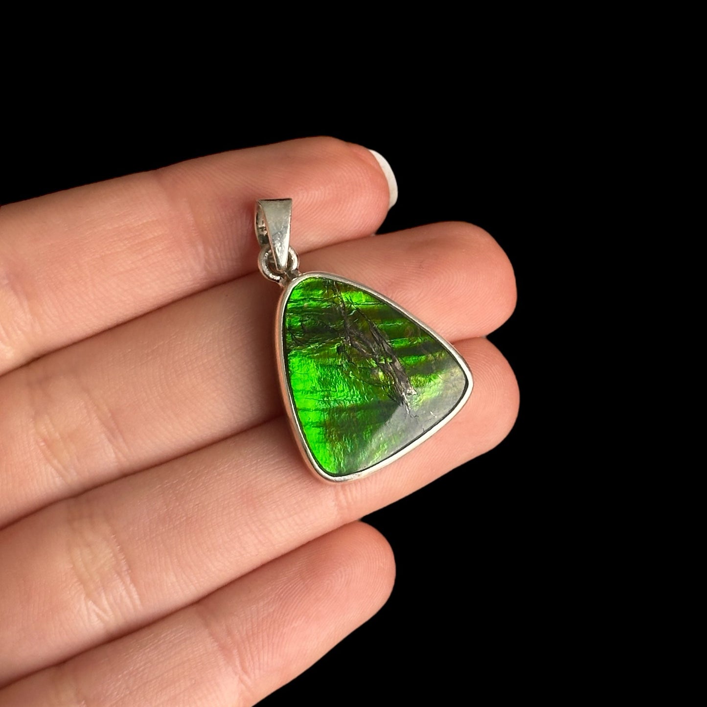 Natural Ammolite B